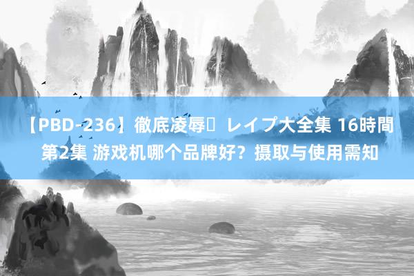 【PBD-236】徹底凌辱・レイプ大全集 16時間 第2集 游戏机哪个品牌好？摄取与使用需知