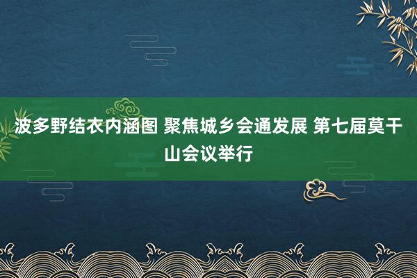 波多野结衣内涵图 聚焦城乡会通发展 第七届莫干山会议举行